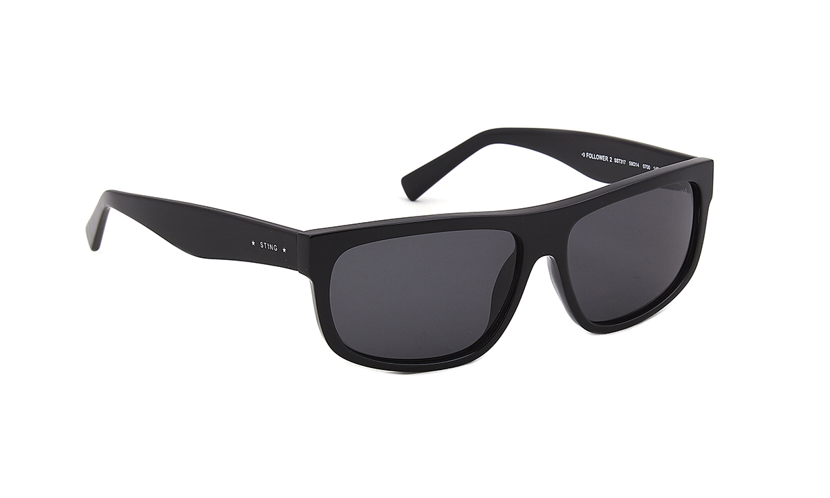  Sting 317 700